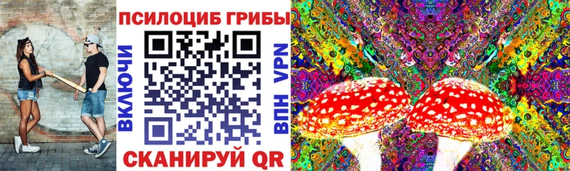 Псилоцибиновые грибы мицелий  omg ТОР  Биробиджан  купить  
