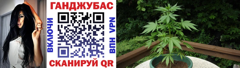 Шишки марихуана план Биробиджан